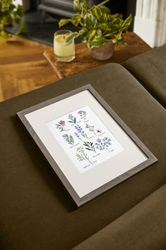 dmc-herbs-designer-collection-kit-punto-croce-erbe-aromatiche image 8