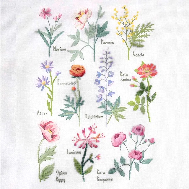 dmc-sampler-botanico-by-nathalie-weinzaepflen-kit-punto-croce-intermedio image 1