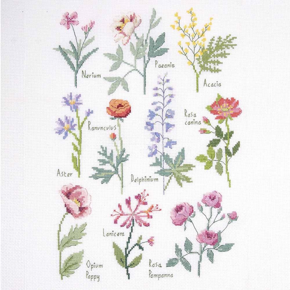 dmc-sampler-botanico-by-nathalie-weinzaepflen-kit-punto-croce-intermedio image 1
