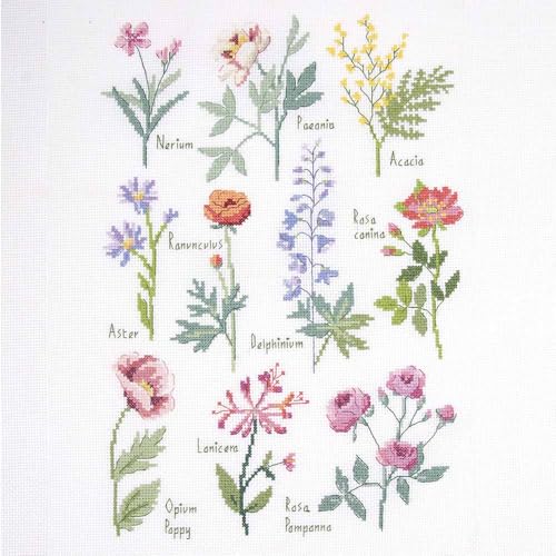 dmc-sampler-botanico-by-nathalie-weinzaepflen-kit-punto-croce-intermedio image 2
