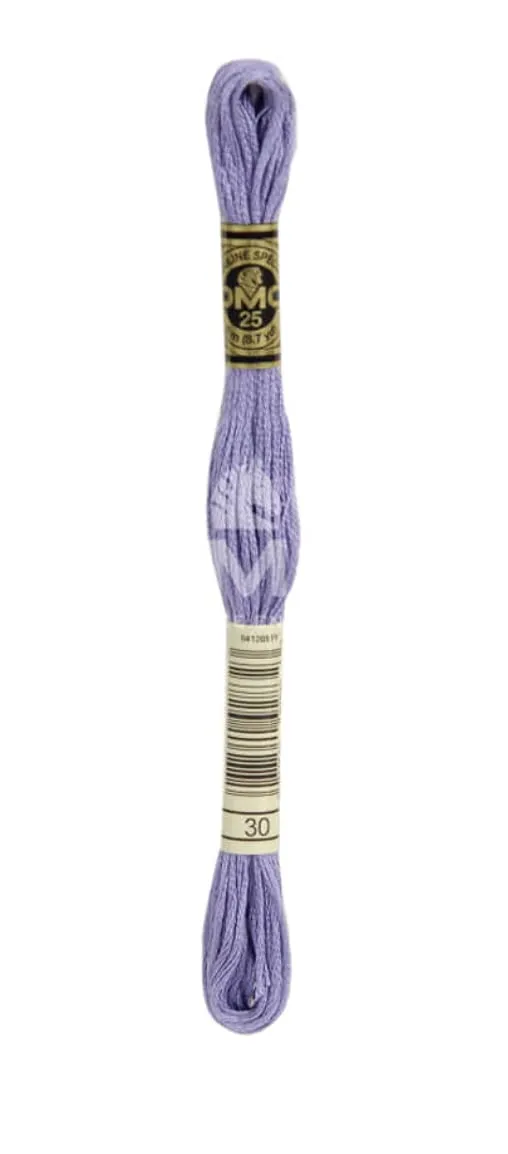 dmc-moulin-sp-cial-117mc-0030-filo-da-ricamo-cotone-viola-blu-8-m image 1