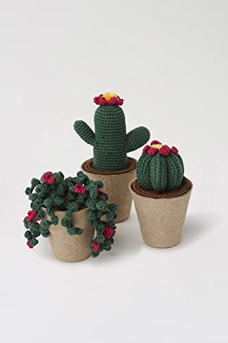 dmc-kit-uncinetto-cactus-amigurumi-3-cactus-con-vasi image 8