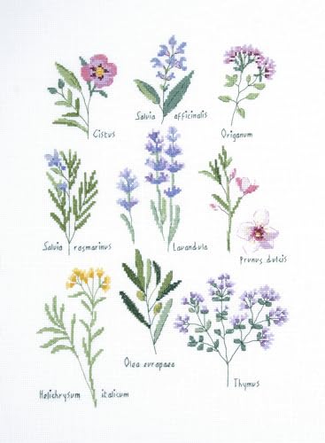 dmc-herbs-designer-collection-kit-punto-croce-erbe-aromatiche image 6