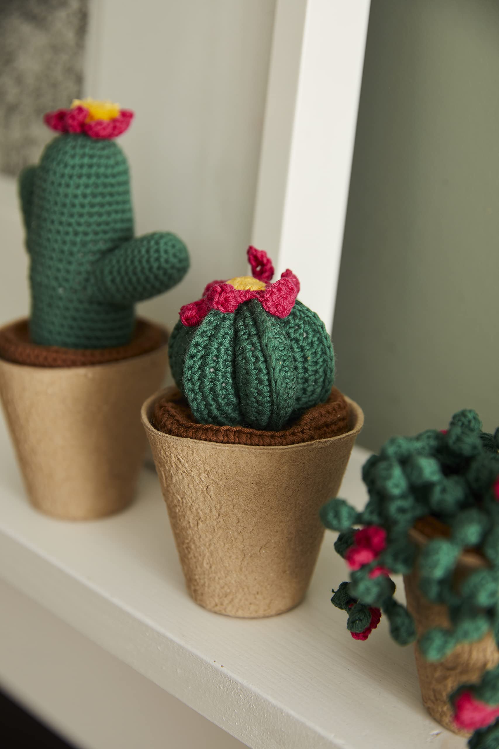 dmc-kit-uncinetto-cactus-amigurumi-3-cactus-con-vasi image 6