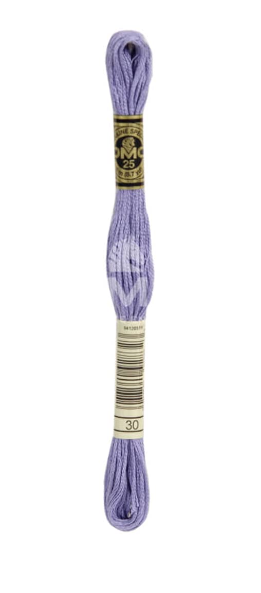 dmc-moulin-sp-cial-117mc-0030-filo-da-ricamo-cotone-viola-blu-8-m image 1